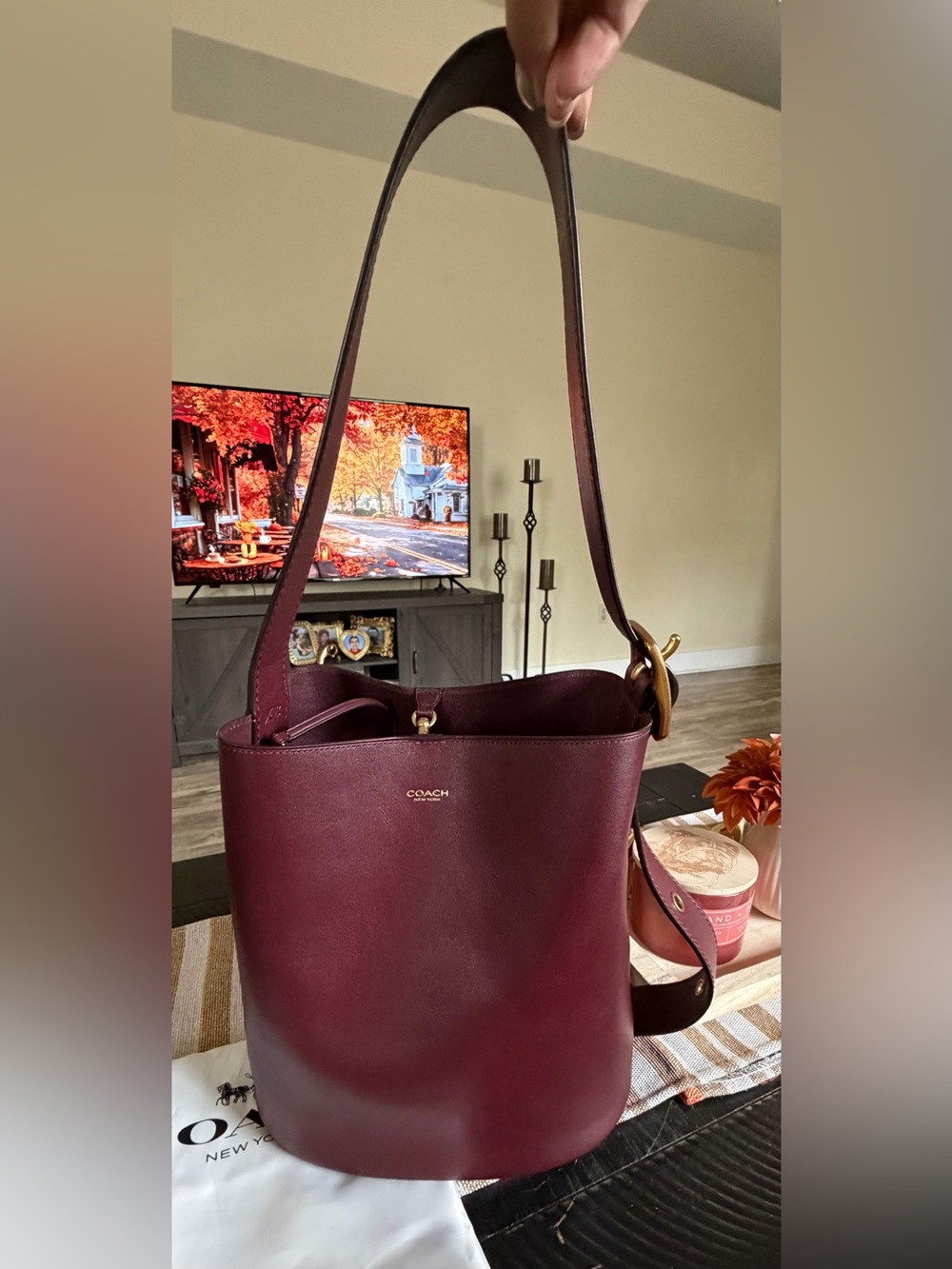 Coach Bleeker bucket bag in Merlot with duatbag